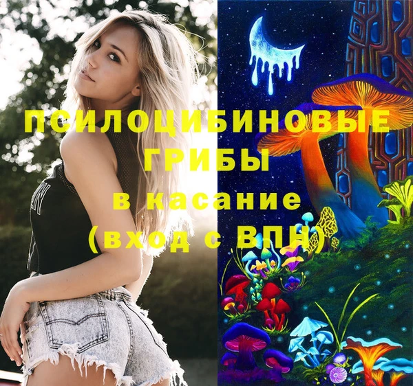 Альфа ПВП Алексин